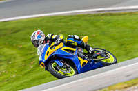 Oulton-Park-20th-March-2020;PJ-Motorsport-Photography-2020;anglesey;brands-hatch;cadwell-park;croft;donington-park;enduro-digital-images;event-digital-images;eventdigitalimages;mallory;no-limits;oulton-park;peter-wileman-photography;racing-digital-images;silverstone;snetterton;trackday-digital-images;trackday-photos;vmcc-banbury-run;welsh-2-day-enduro